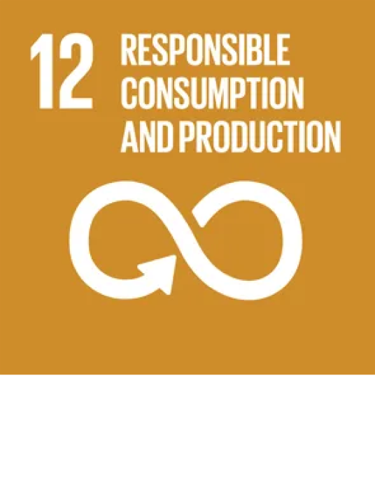 SDG 12